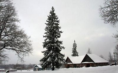 Новогодняя мелодия Русской усадьбы