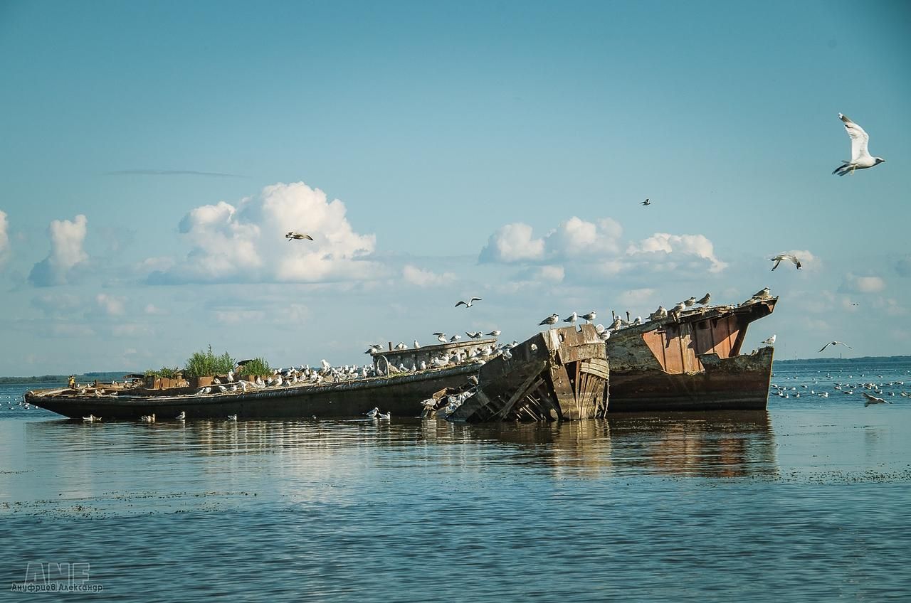 Отдых на ПСКОВском море / 4 дня