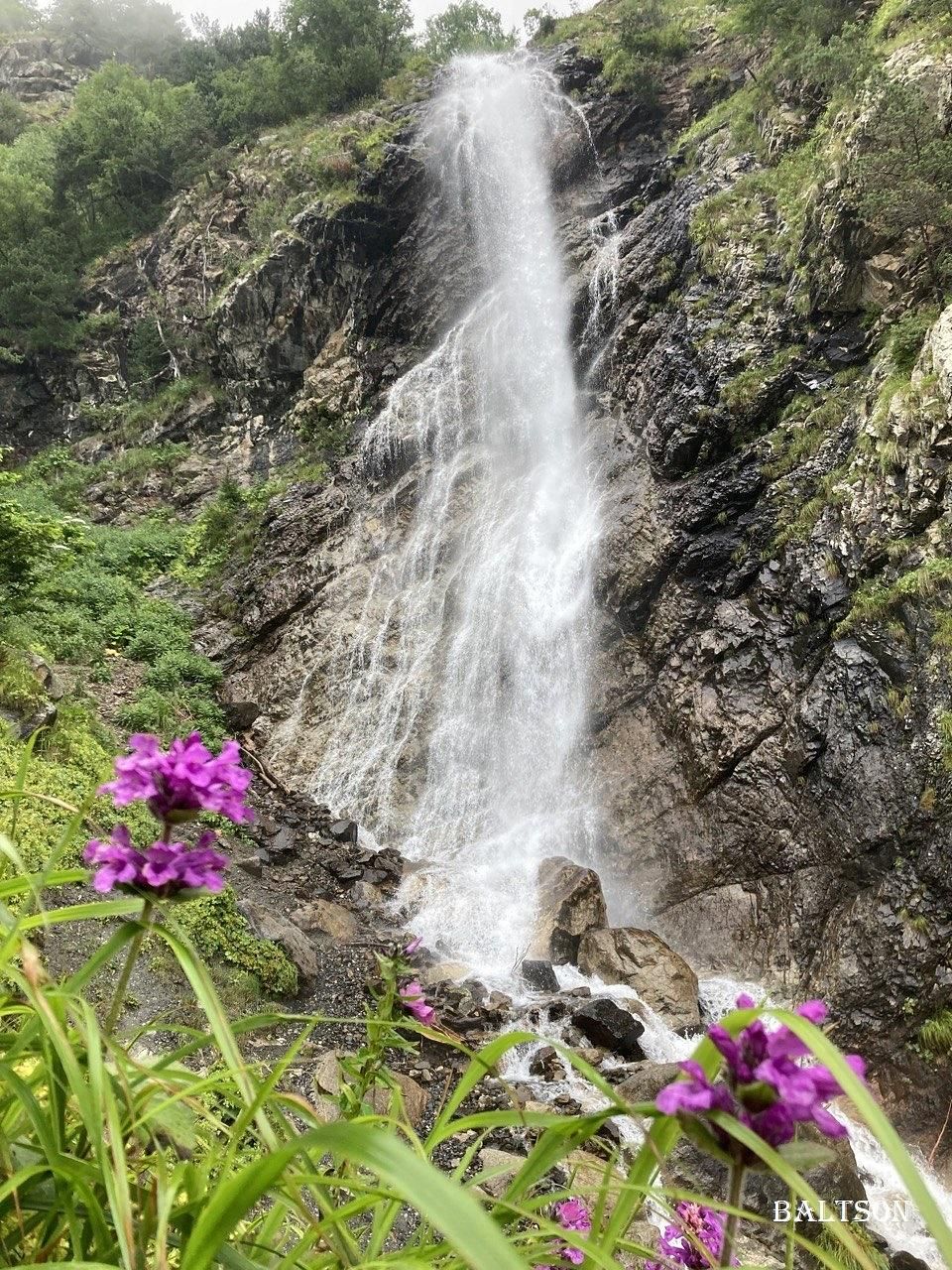 В гости к аланам