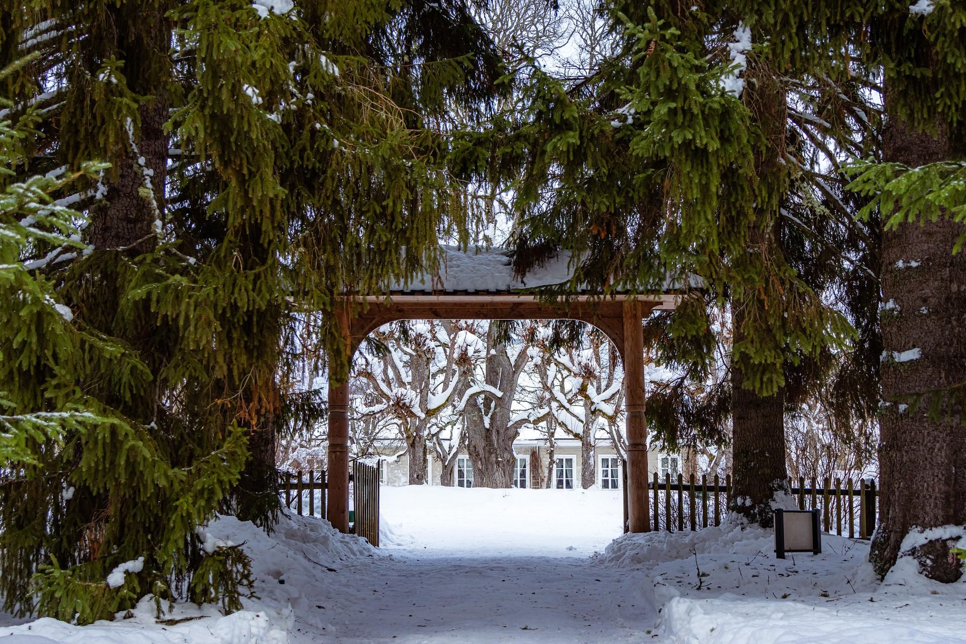 ПСКОВская зимняя классика