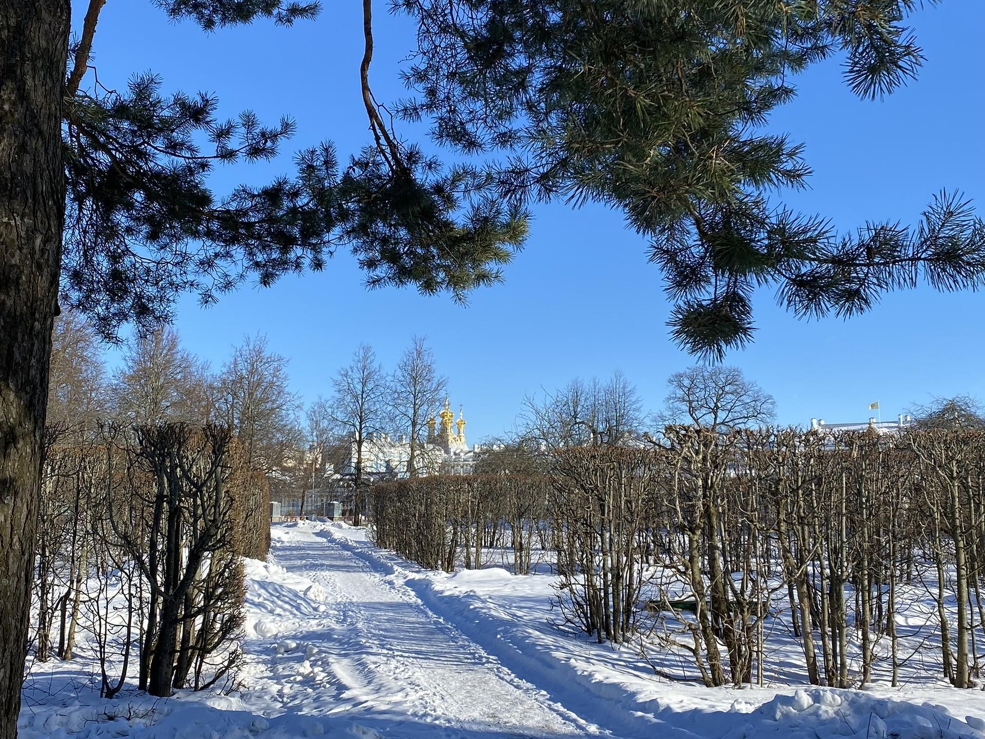 Экскурсия загородная в Царское Село.  Екатерининский дворец, парк