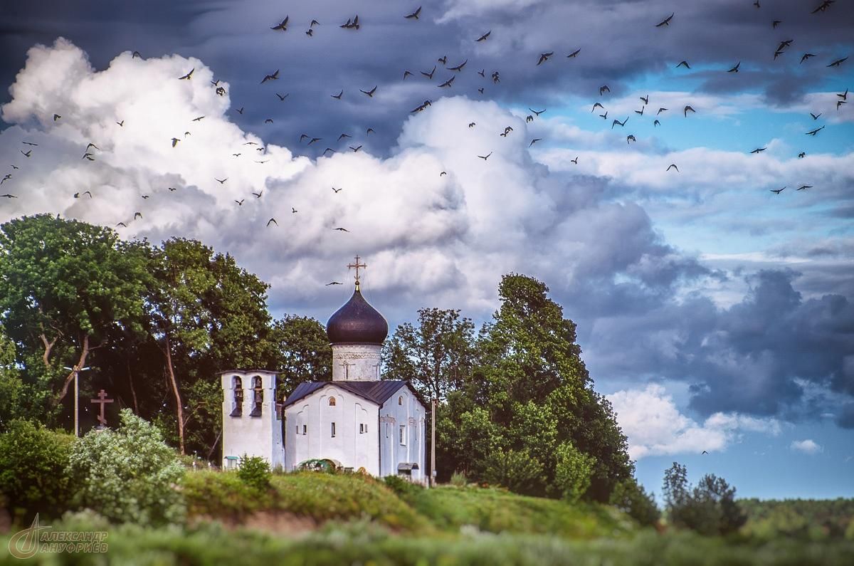 В поисках ГАРДАРИКИ от Псковщины до Новгородщины