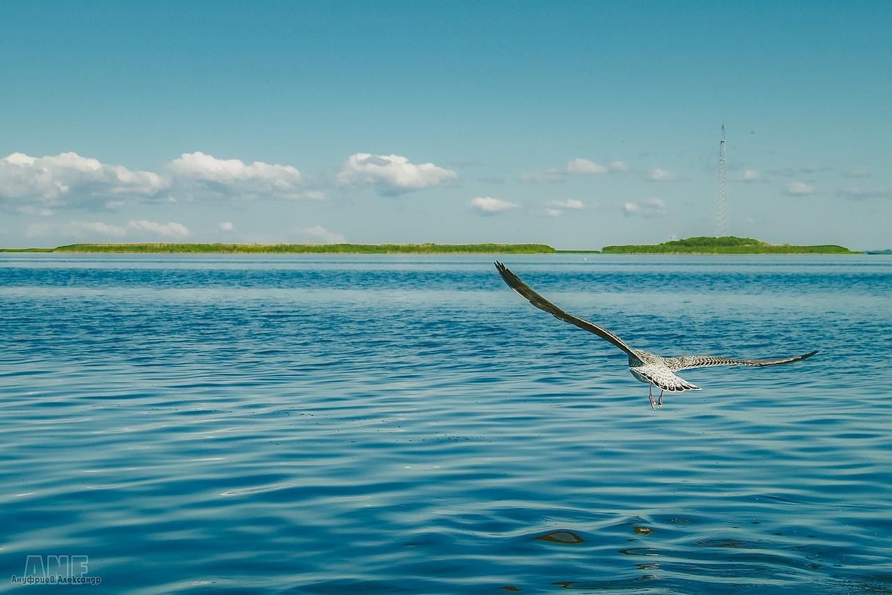 Отдых на ПСКОВском море / 5 дней