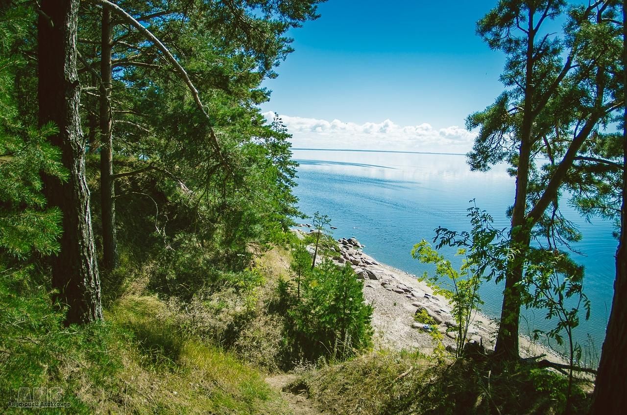 Отдых на ПСКОВском море / 5 дней