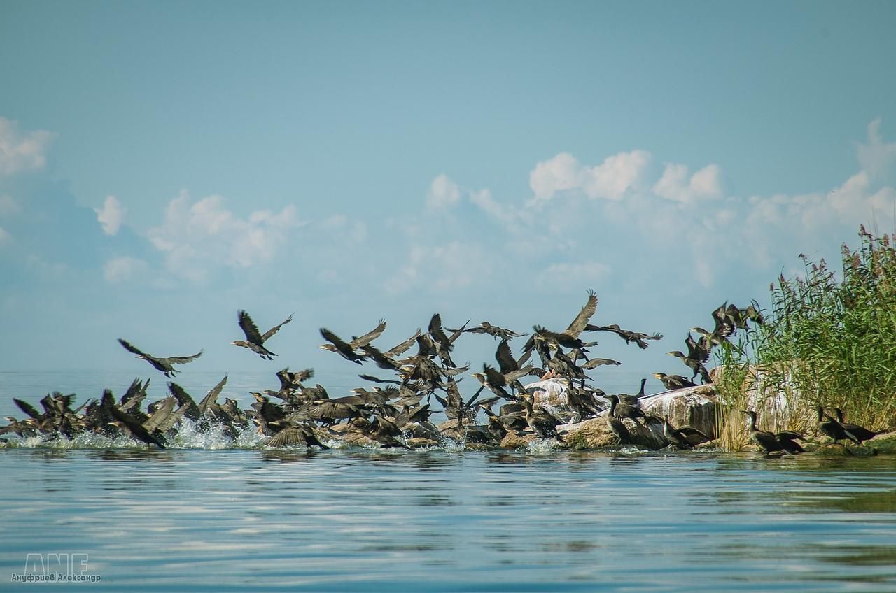 ТАЛАБСКИЕ ОСТРОВА, путешествие на Псковское море