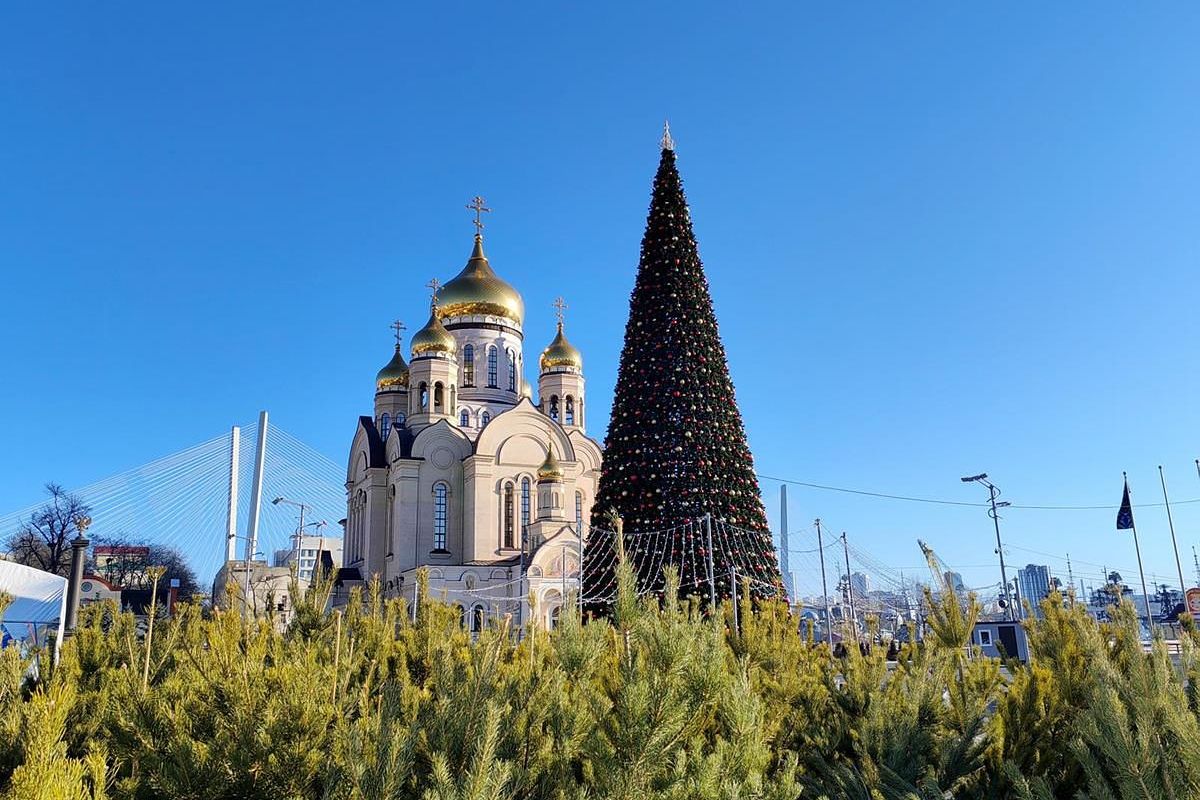 Тур "Новый Год с видом на море"